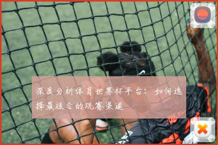 深度分析体育世界杯平台：如何选择最适合的观赛渠道