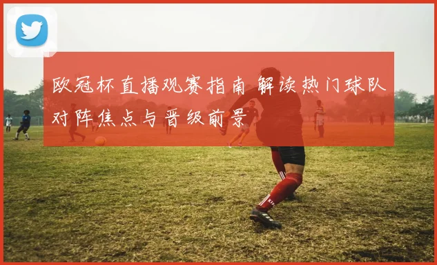 欧冠杯直播观赛指南 解读热门球队对阵焦点与晋级前景