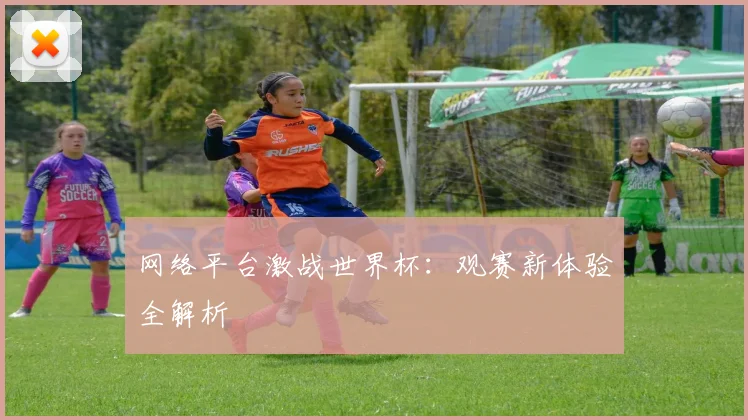 网络平台激战世界杯：观赛新体验全解析