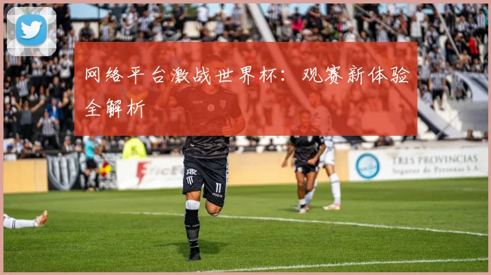 网络平台激战世界杯：观赛新体验全解析