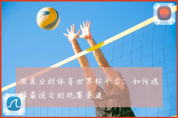 深度分析体育世界杯平台：如何选择最适合的观赛渠道