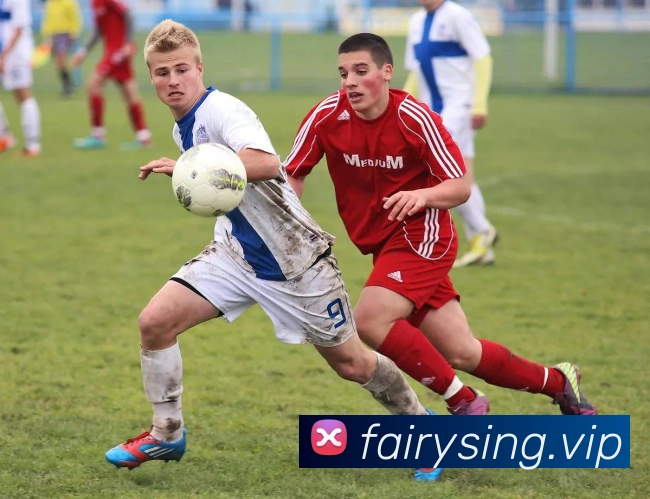 九游网页版入口网址发展历程